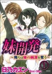 妹開発～俺らは妹の純潔を奪う～(分冊版)