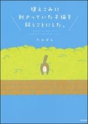 植えこみに刺さっていた子猫を飼うことにした｡_thumbnail