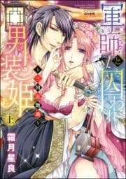 軍師と囚われ男装姫～三国志艶義～