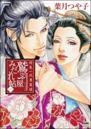 好色一代男異聞 鷲羽屋みだれ帖