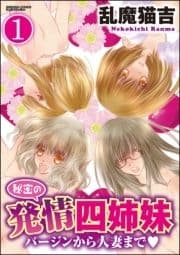 秘密の発情四姉妹～バージンから人妻まで～(分冊版)