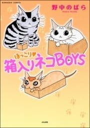 ほっこり･箱入りネコBOYS_thumbnail