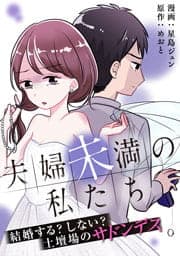 夫婦未満の私たち～結婚する?しない?土壇場のサドンデス_thumbnail