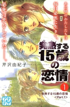 発熱する15歳の恋情 プチデザ