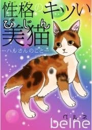 性格のキツい美猫…ハルさんのこと…_thumbnail