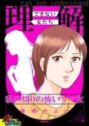 理解できない女たち～私の周りの怖いママ友～_thumbnail