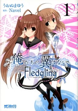 俺たちに翼はない Fledgling フレッジリング_thumbnail