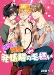 嫉妬で略奪!発情猫のHな毛繕い_thumbnail