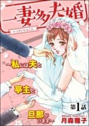 一妻多夫婚 ～私には夫と亭主と旦那がいます～(分冊版)
