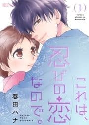 これは､忍びの恋なので｡