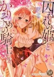 囚われの姫とかりそめの騎士～ひそかな溺愛～ 分冊版