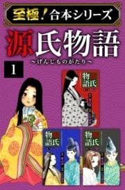 【至極!合本シリーズ】源氏物語