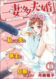 一妻多夫婚 ～私には夫と亭主と旦那がいます～