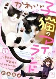 かわいい子猫のアイランド ～漫画家が保護猫を引き取った話～ ベツフレプチ_thumbnail