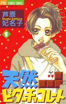 天然ビターチョコレート