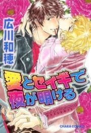 愛とセイギで夜が明ける