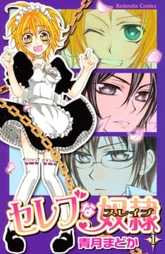 セレブな奴隷