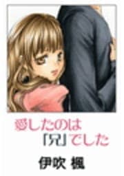 愛したのは｢兄｣でした～永遠浪漫～