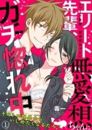 エリート先輩､無愛想ちゃんにガチ惚れ中 ～そのトロ顔見たらいじめたくなるだろ?～