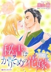 秘書はかりそめの花嫁