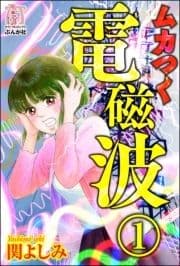 ムカつく電磁波(分冊版)