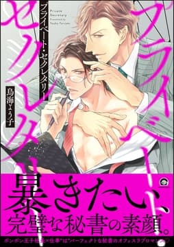 プライベート･セクレタリー