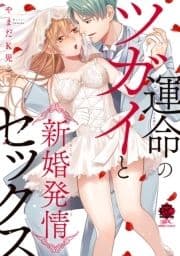 運命のツガイと新婚発情セックス 【電子限定描き下ろし漫画付き】