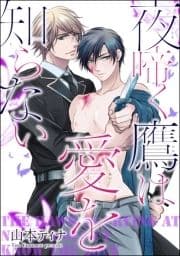 夜啼く鷹は愛を知らない(分冊版)