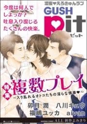 GUSHpit 複数プレイ～入り乱れるオトコたちの淫らな情事～