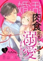 婚活しまくってたら肉食元カレに捕まり溺愛されました!
