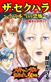 ザ･セクハラ～その本当の恐怖～お姑さんが行く!(1)～スキャンダルまみれな女たち