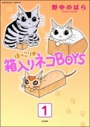 ほっこり･箱入りネコBOYS(分冊版)_thumbnail