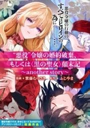 "悪役"令嬢の婚約破棄､もしくは<黒の聖女>顛末記～another story～