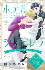 ホテルシンデレラ～私､ホテル王に買われました～ 分冊版