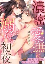 濃密愛撫に溺れる初夜～結婚の意味､わかってる?_thumbnail