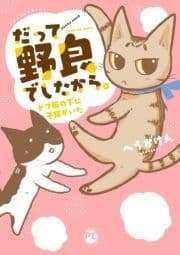 だって野良でしたから｡ ドブ板の下に子猫がいた_thumbnail