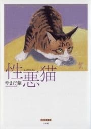 性悪猫_thumbnail