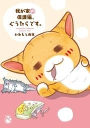 我が家の保護猫､ぐうたらです｡_thumbnail