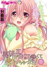 義妹がエロ可愛くて勃っちゃった!? ～お兄ちゃん､気持ちイイことしよ～ 分冊版_thumbnail