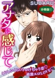 アナタに感じて くやしいくらいトロけちゃう恋 過激エロLOVE 分冊版