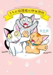 うちの保護猫の仲は微妙_thumbnail