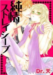 純情ストレイシープ