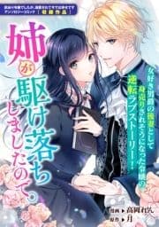 姉が駆け落ちしましたので｡