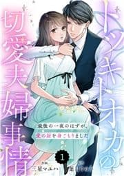 comic Berry's トツキトオカの切愛夫婦事情～最後の一夜のはずが､愛の証を身ごもりました～(分冊版)