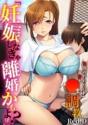 ｢妊娠しなきゃ離婚かもよ?｣兄貴の代わりに義姉を〇ませ調教【フルカラー】_thumbnail