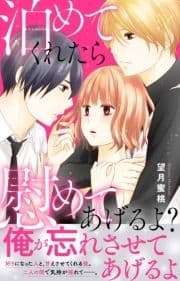 泊めてくれたら慰めてあげるよ?【電子単行本版】