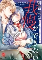 御曹司は我慢ができない 絶倫CEOがずっと寝かせてくれません【単行本版】【電子限定ペーパー付】