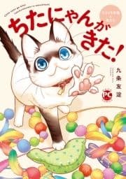 ちたにゃんがきた!てぶくろ仔猫と私たち_thumbnail