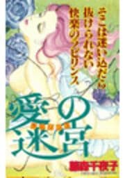 愛の迷宮（ラビリンス）