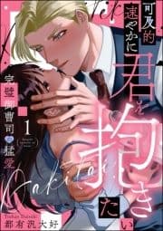 可及的速やかに君を抱きたい 完璧御曹司の猛愛(分冊版)